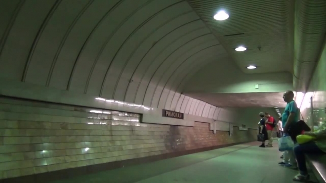 Пьяный мужчина спрыгнул на рельсы московского метро, чтобы спасти котенка