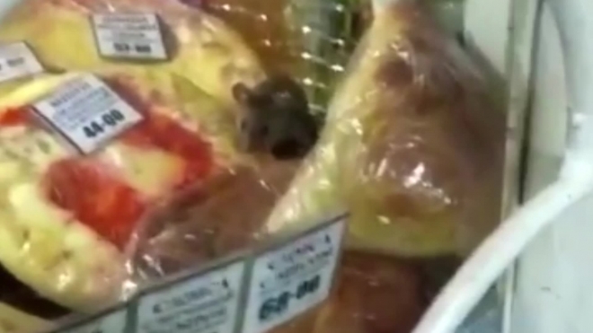 Видео из Благовещенска: В ларьке с выпечкой около детской больницы обедают мыши