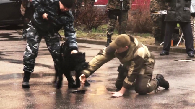 Кинологи и сотрудники СОБР "задержали" на границе "банды" при помощи собак и оружия