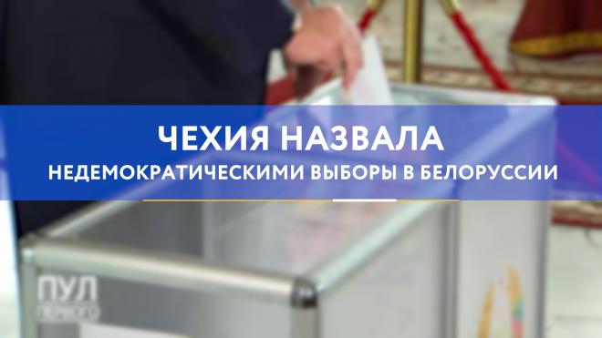 Чехия назвала недемократическими выборы в Белоруссии
