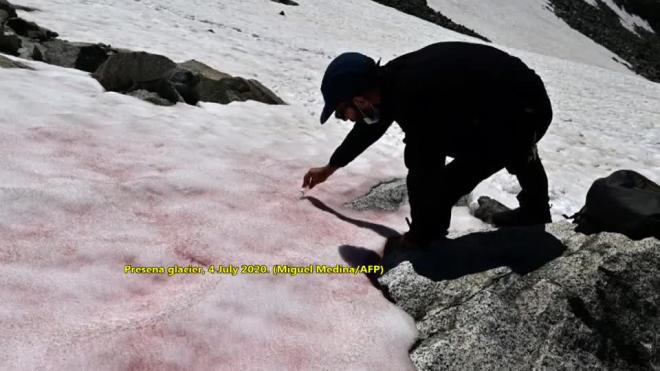 В Альпах обнаружен розовый снег