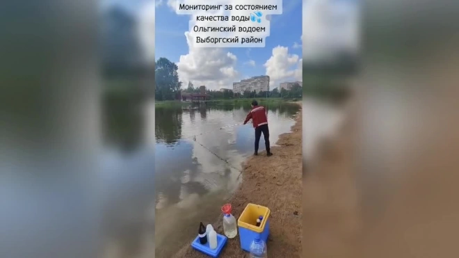 В Петербурге нет пригодных для купания водоемов