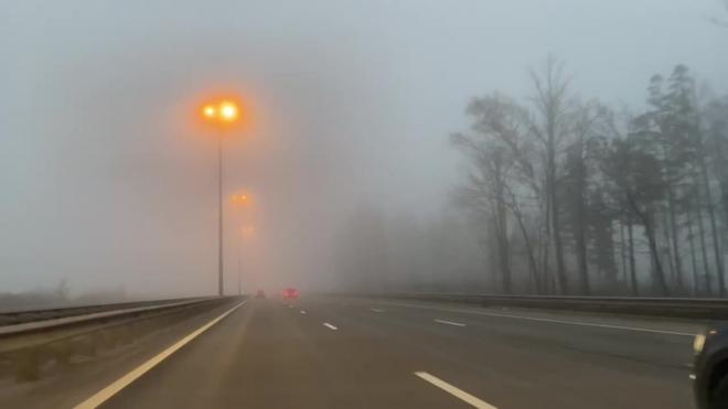 В ближайшие часы в Ленобласти ожидается туман 