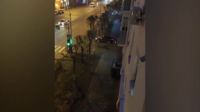 В Красноярске женщина привязала к машине больную собаку