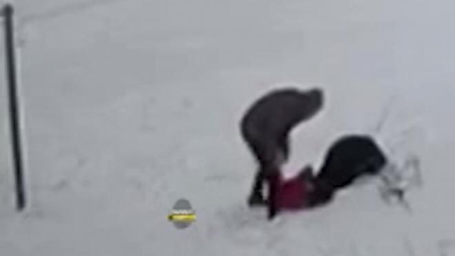 В Новосибирске мужчина избил двух сломавших снеговика подростков