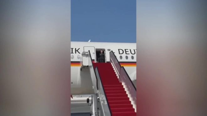 Президент Германии полчаса ждал дипломатов Катара в аэропорту