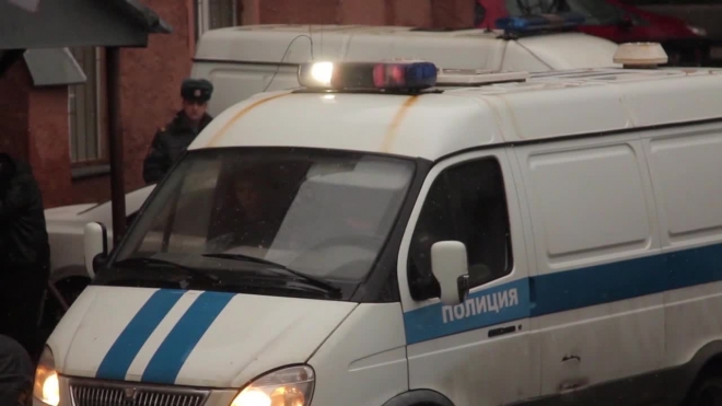 Житель Архангельской области заявил в полицию о краже у него конопли и получил 200 часов исправительных работ