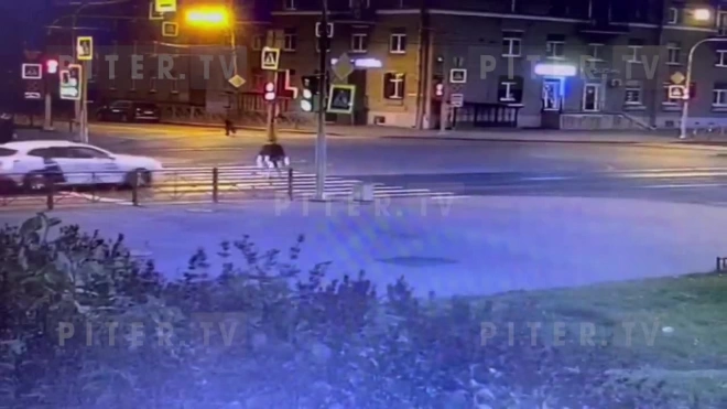 Каршеринг сбил пешехода на Благодатной и попал на видео