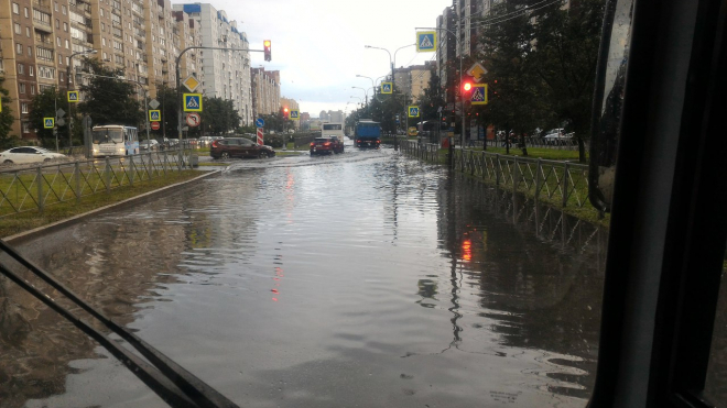Несколько районов Петербурга подтопило из-за дождя