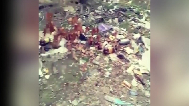 Видео стихийной свалки в центре Владикавказа повергло в шок