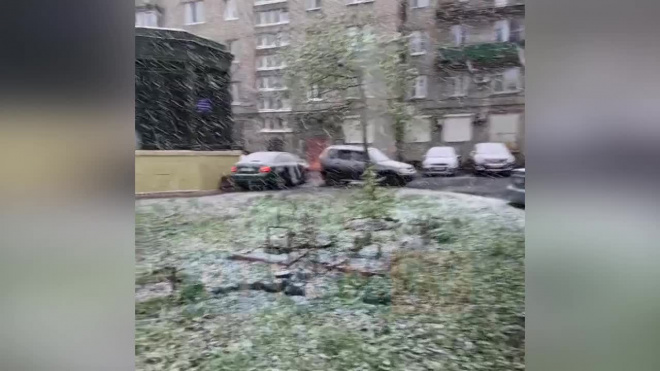 Утром в четверг в Петербурге выпал снег