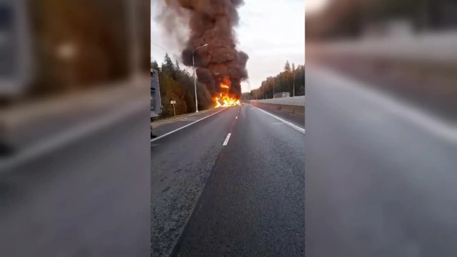 На трассе М-10 у Тосно столкнулись два грузовика