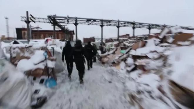 Полиция Петербурга провела масштабные обыски по делу о нелегальной миграции