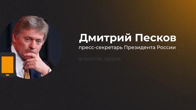 Песков заявил, что заявления Украины по судам в Черном море несут угрозу