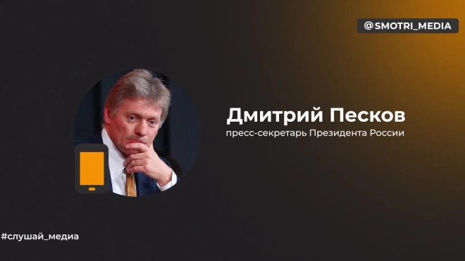 Песков: перестановки в Минобороны не могут дезорганизовать управление войсками