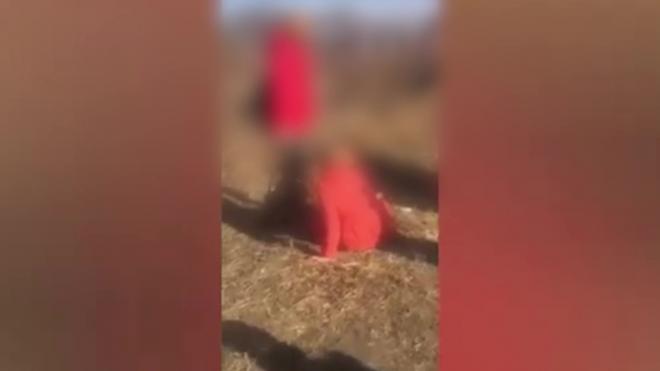 В Приморье проверяют видео с публичным избиением школьницы сверстницей