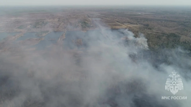 Площадь торфяного пожара в Костромской области превысила 45 гектаров