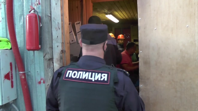 На юге Петербурга полицейские провели миграционный профилактический рейд