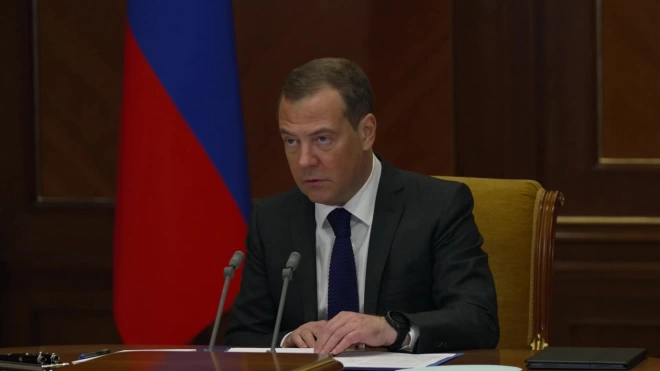 Медведев обеспокоен ростом правонарушений среди мигрантов в России 