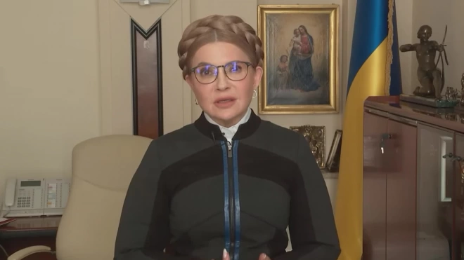 Тимошенко считает разговоры об отставке Залужного несвоевременными