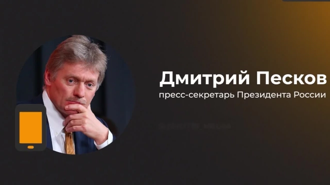 Песков: ситуацией с гибелью военных с позывными Эрнест и Гудвин занимается МО