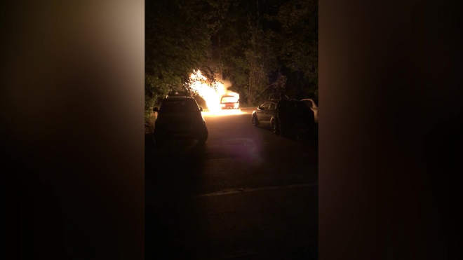 Видео: на проспекте Просвещения ночью сгорел автомобиль