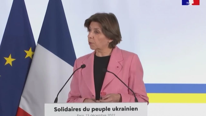 МИД Франции: Макрон и Зеленский обсудили мирный план по Украине