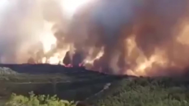 Видео из Испании: В Каталонии бушует крупнейший за 20 лет лесной пожар