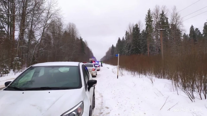 В Ленобласти во время задержания дачный вор напал на полицейского с ножом