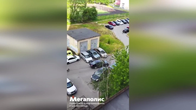 Петербурженка засняла момент кражи скамеек во дворе на Наставников: видео