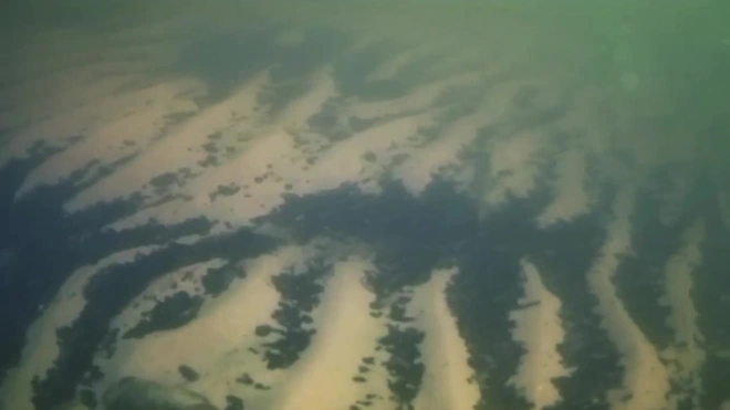 Учёные исследуют дно заповедной зоны Ладожского озера