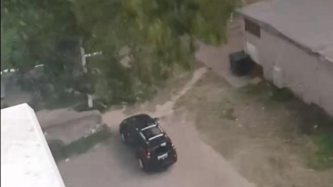 Костромичка сняла на видео, как упавшее дерево придавило иномарку 