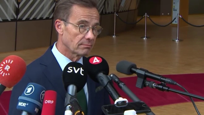 Шведский премьер намерен обсудить с Орбаном вопрос вступления в НАТО