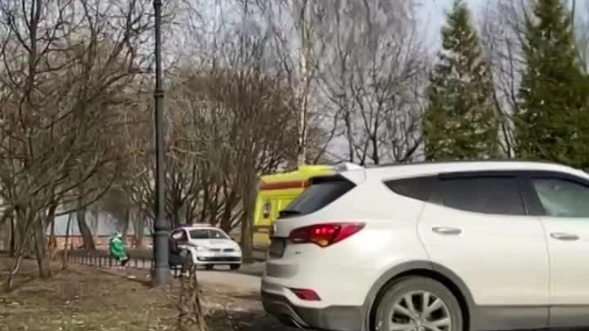 В Ленинградском зоопарке эвакуируют посетителей