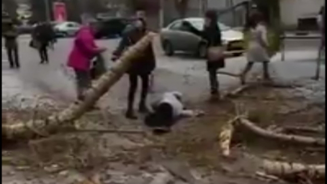 Жуткое видео из Казани: На человека упало дерево