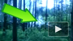 Очевидец снял на видео место катастрофы истребителя Су-27 в Карелии