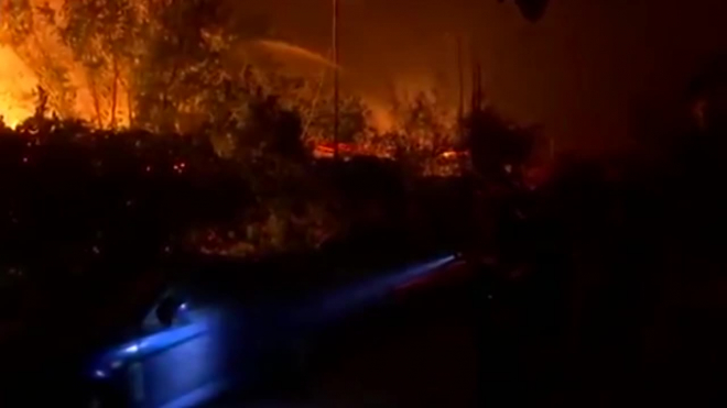 Жертвами лесных пожаров в Греции стали 50 человек