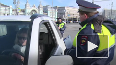 В Москве составили более 9 тыс. протоколов о нарушении режима самоизоляции