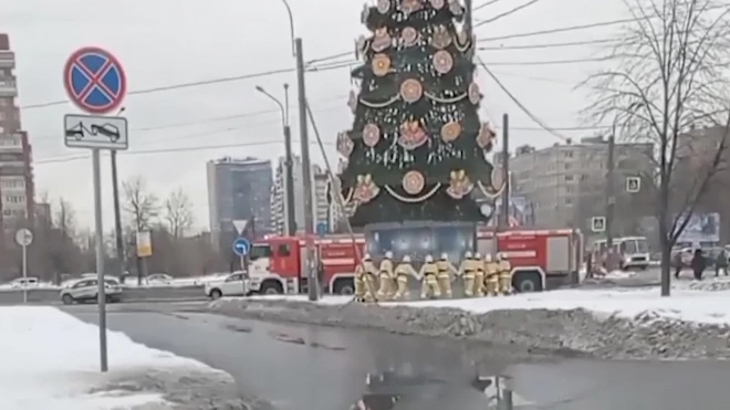 Пожарные водили хоровод вокруг елки на проспекте Большевиков