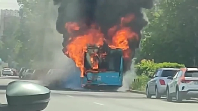 Видео: на Витебском проспекте сгорел пассажирский автобус