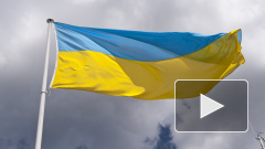 На Украине предрекли дефицит товаров 