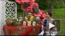 Клубника с грядки, чай с мёдом или козье молоко. Агротуризм в Ленинградской области