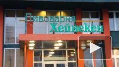 Забастовка на заводе Heineken в Петербурге: руководство считает, что ее нет