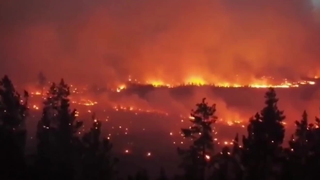 В Челябинской области лесные пожары уничтожили 71 строение