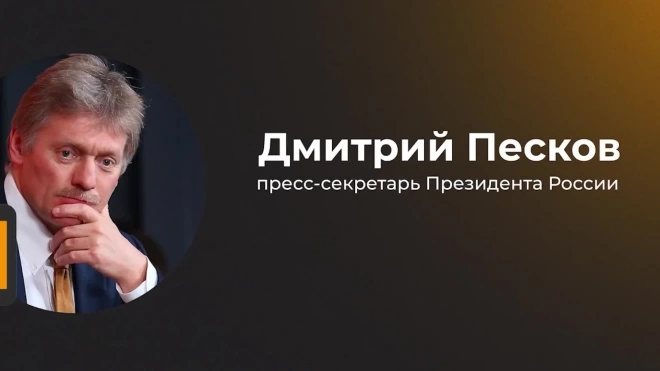 Песков заявил о высокой активности граждан на выборах в новых регионах