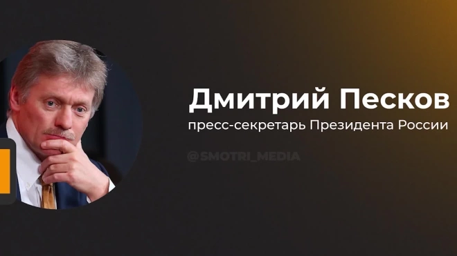 Песков назвал причину сокращения числа лидеров на саммите Россия — Африка