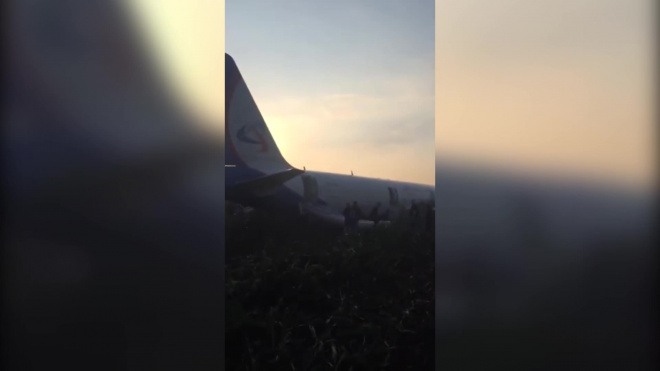 Видео: в Подмосковье у самолета загорелся двигатель, пилоты совершили экстренную посадку  