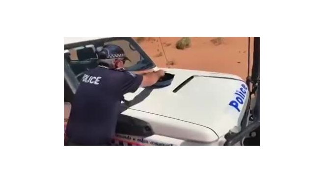 Вирусное видео: в Австралии полицейский зажарил яйцо на капоте машины