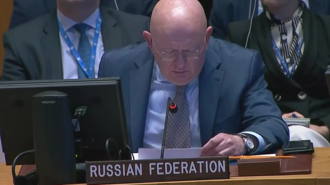 Небензя: участие Зеленского в заседании СБ ООН должно быть очным