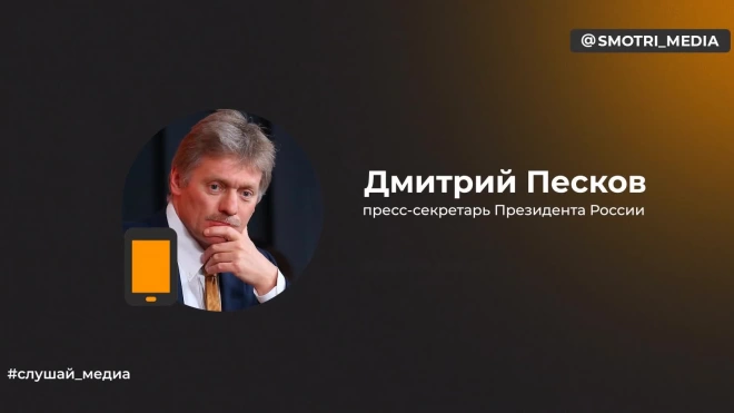Песков рассказал о теме переговоров Путина и делегации из КНДР